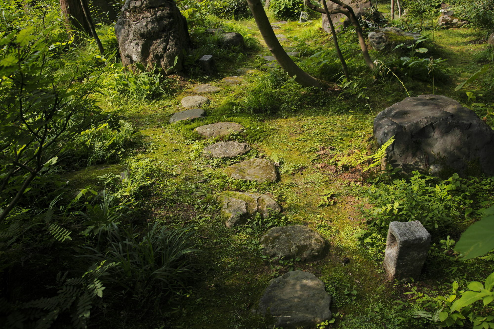 Ichirino Kogen Hotel Roan Hakusan Dış mekan fotoğraf