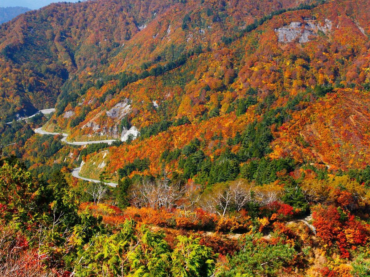 Ichirino Kogen Hotel Roan Hakusan Dış mekan fotoğraf
